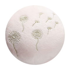 Dandelion Clocks