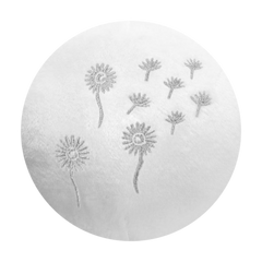 Dandelion Clocks