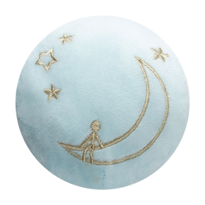 Man on The Moon