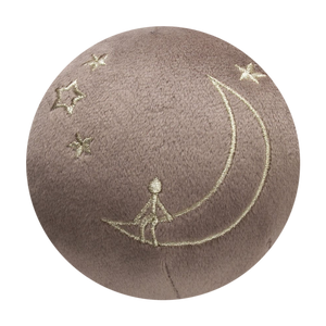 Man on The Moon