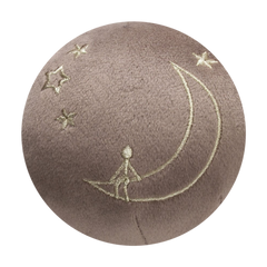 Man on The Moon