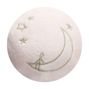 Man on The Moon