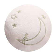 Man on The Moon