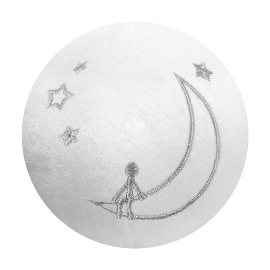 Man on The Moon