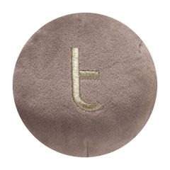 Letter T