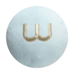 Letter W