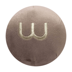 Letter W