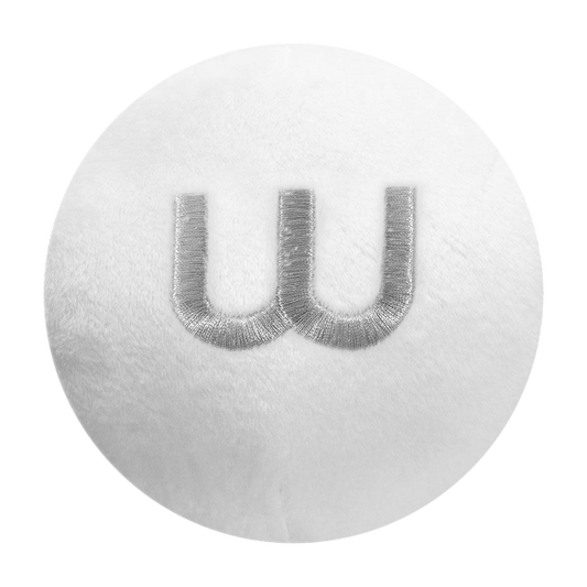 Letter W