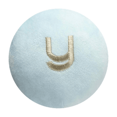 Letter Y