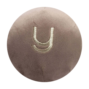 Y