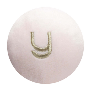 Y