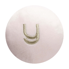 Letter Y