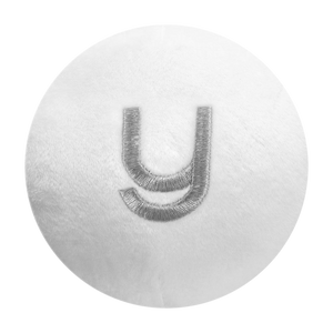 Y