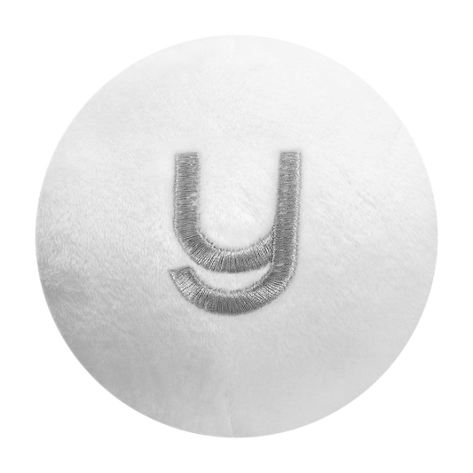 Letter Y